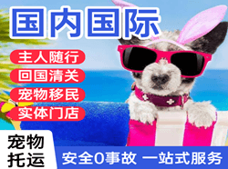 西安空运地址国际宠物托运 【国